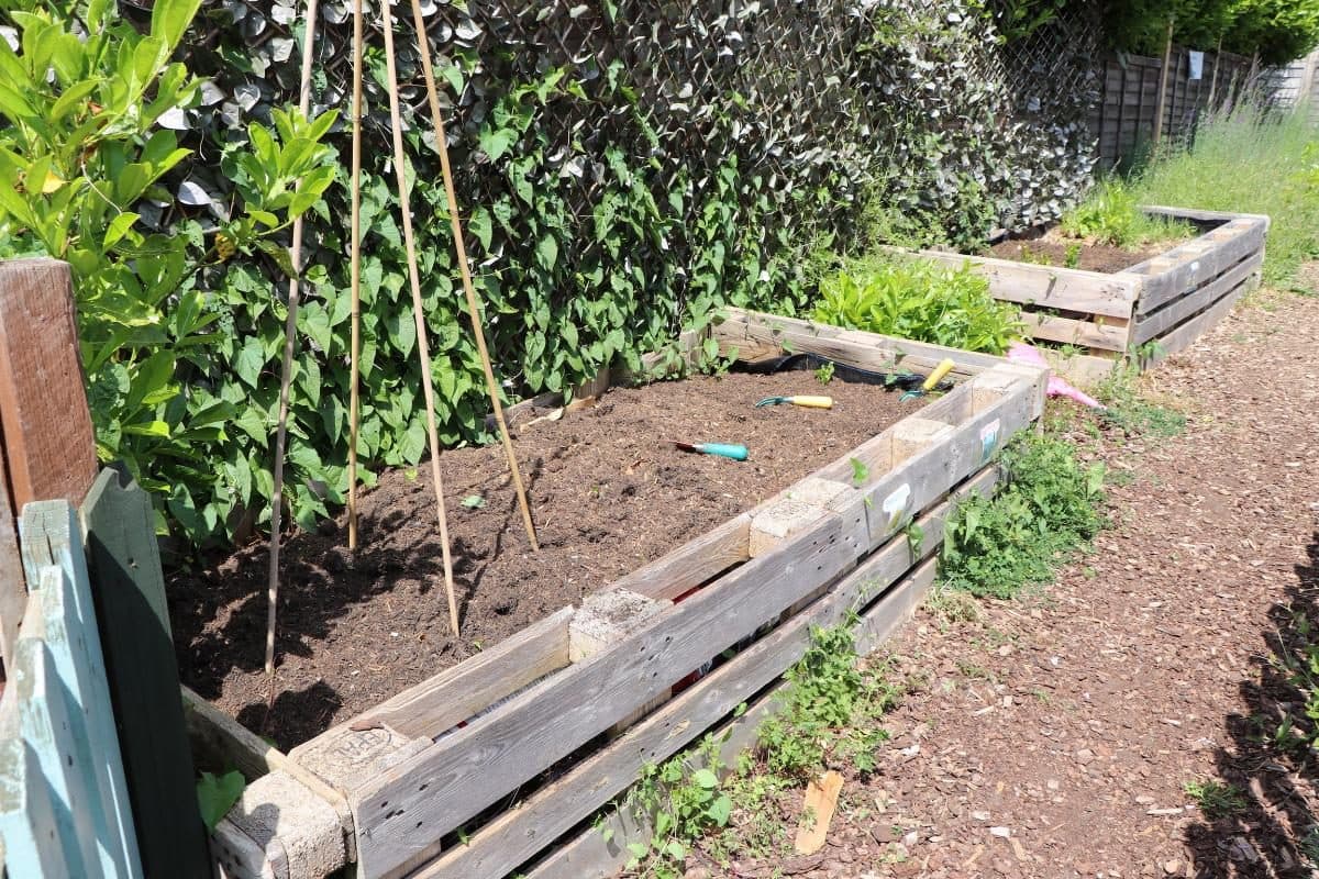 the house that jack built garden beds with soil
