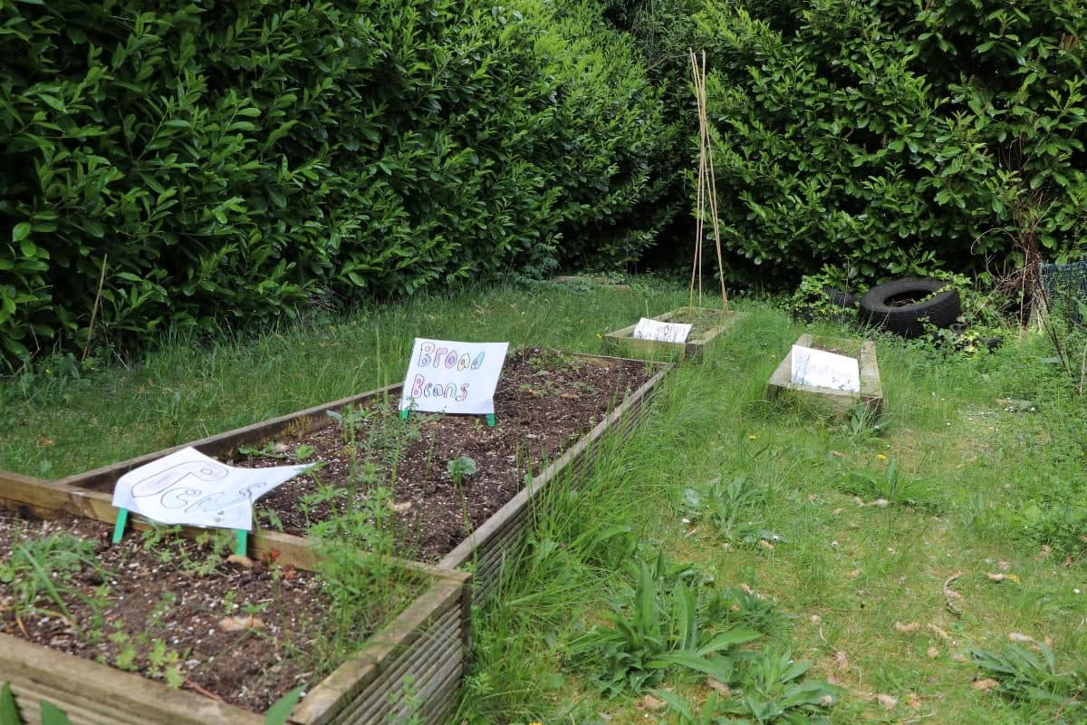 the house that jack built community garden beds